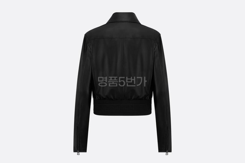 디올 봄버 재킷 상품 이미지 4